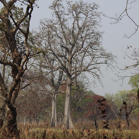 Babai Resort Pvt Ltd Bardiya Luaran gambar