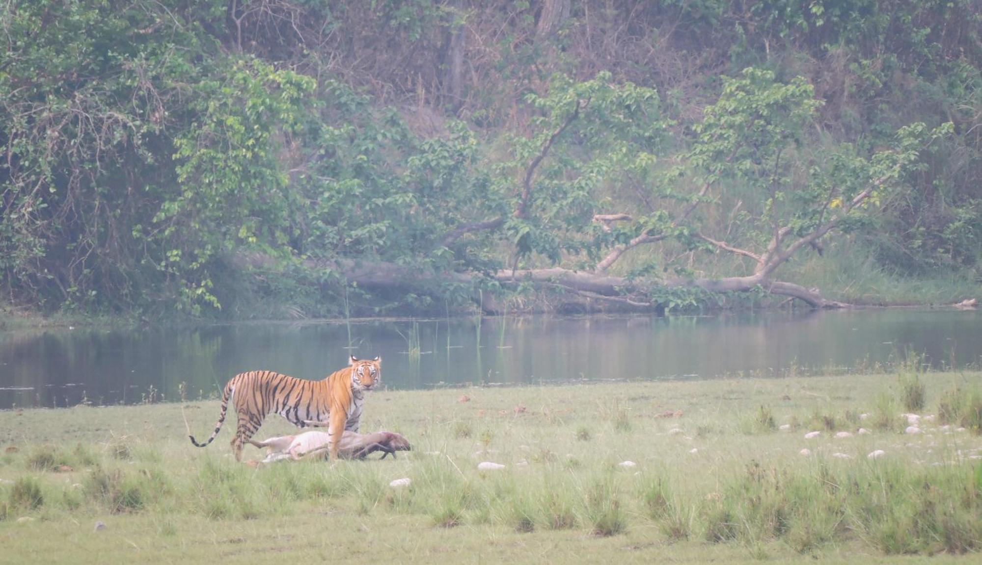 Babai Resort Pvt Ltd Bardiya Luaran gambar