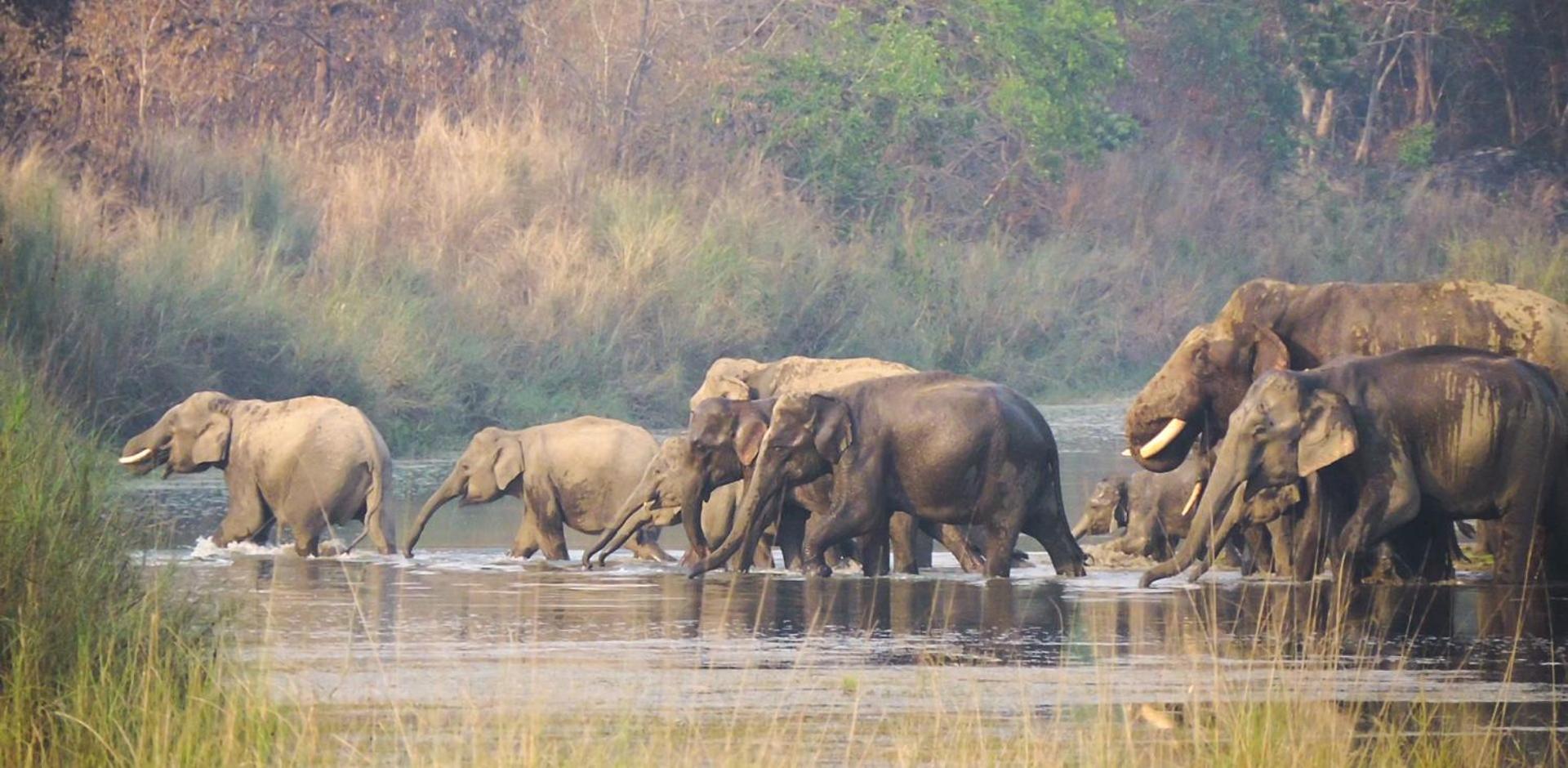 Babai Resort Pvt Ltd Bardiya Luaran gambar