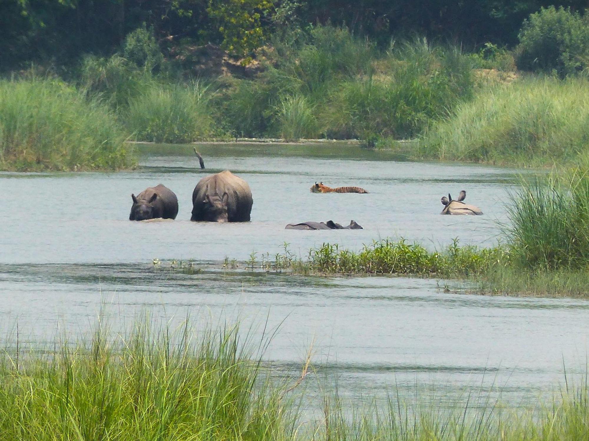 Babai Resort Pvt Ltd Bardiya Luaran gambar